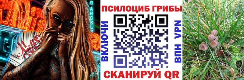 Галлюциногенные грибы мухоморы  купить наркотик  Чапаевск 