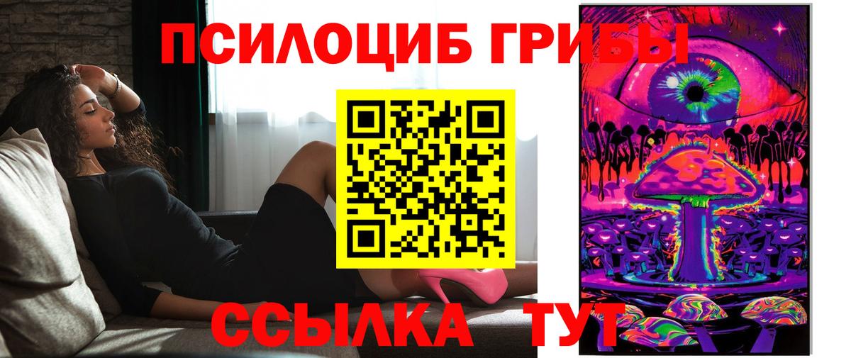 Псилоцибиновые грибы Psilocybe Чапаевск