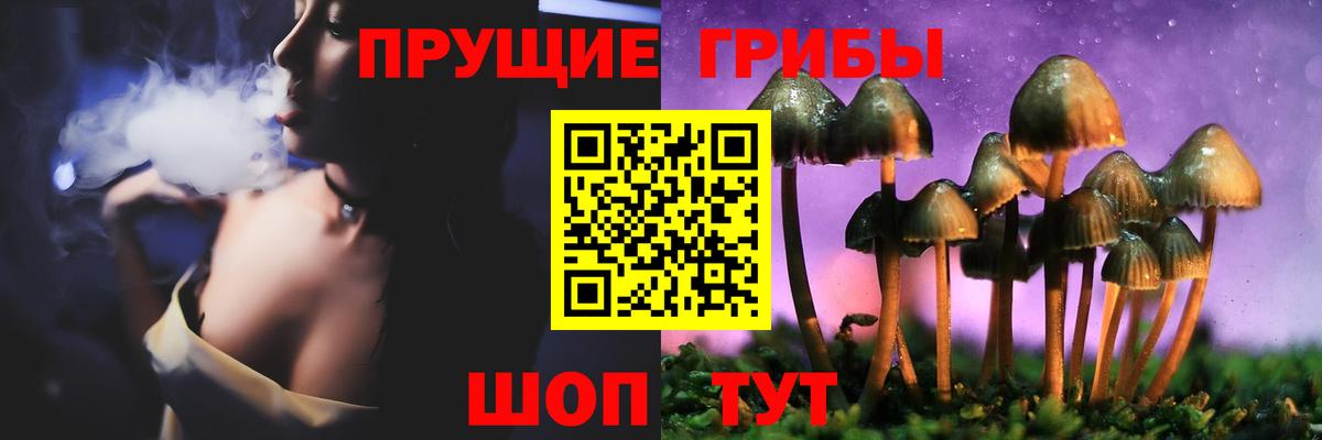 сколько стоит  Галлюциногенные грибы Psilocybine cubensis  Вход с VPN  Чапаевск 